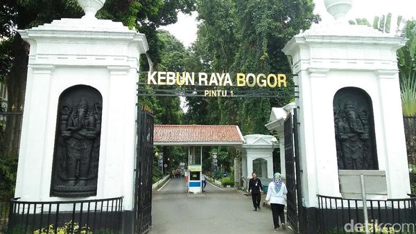 Jalan-jalan Sehat, Yuk Berakhir Pekan di Kebun Raya Bogor