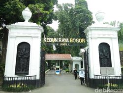 Cegah Penyebaran Virus Corona, 4 Kebun Raya LIPI Ditutup