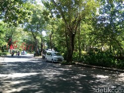 Belasan Mobil Mewah untuk Rombongan Raja Salman Siap di St Regis