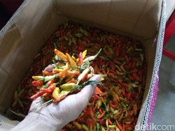 Harga Cabai Rawit Merah Turun, Tapi Masih di Atas Rp 100.000/Kg