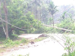 Perbaikan Jaringan Listrik di Sumbar Terhambat Longsor