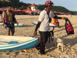 Senangnya Nyoman Perahunya Disewa Rombongan Raja Salman