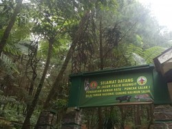 Mengerikan! Wisatawan Alami Pelecehan Seksual di Kawah Ratu