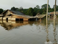 Banjir Parah di Musi Banyuasin Sumsel, Air Nyaris Sentuh Atap Rumah