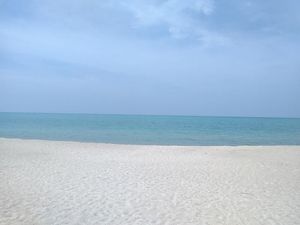 Unik! Pantai Tikus Emas di Bangka