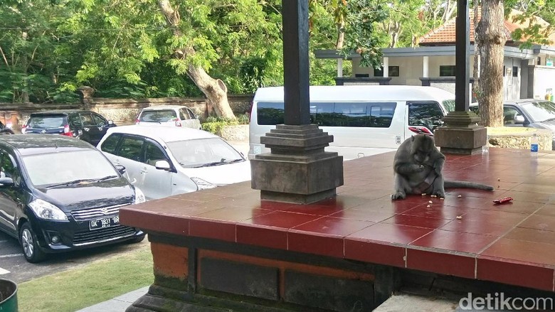 Foto: (Ardan/detikTravel) Foto: (Ardan/detikTravel)