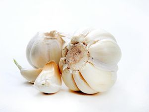 Ini Khasiat Bawang Putih, Si Mungil yang Penuh Manfaat Ini Khasiat Bawang Putih, Si Mungil yang Penuh Manfaat