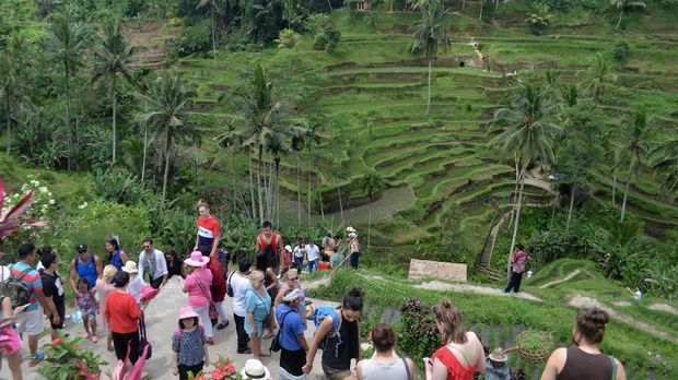 Wisatawan menikmati pemandangan terasering sawah berundak di kawasan Ceking, Tegalalang, Gianyar, Bali, Selasa (7/3). Wisata pedesaan dengan menyusuri persawahan dan mengamati sistem irigasi subak di kawasan tersebut merupakan salah satu potensi wisata yang diminati wisatawan mancanegara di Pulau Dewata. ANTARA FOTO/Fikri Yusuf/ama/17