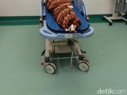 Korban Tewas Pohon Tumbang di Surabaya akan Dipulangkan ke Pinrang