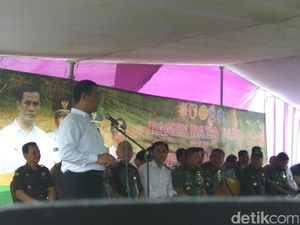 Mentan Jamin Bulog Serap Gabah Petani