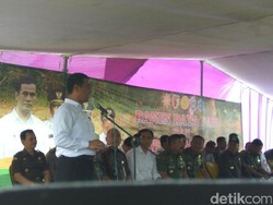 Mentan Jamin Bulog Serap Gabah Petani