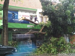 Pohon Spathodea Tumbang Timpa Toko Peralatan Elektronik