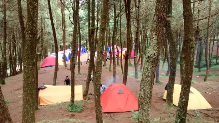 Kemping seru di Gunung Bunder, Bogor Kemping di Gunung Bunder