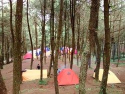 Wabup Bogor Soroti Tiket Mahal dan Infrastruktur Wisata Gunung Bunder