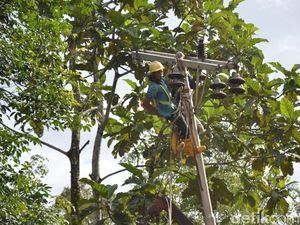 PLN Kerja Bakti Benahi Listrik di Sumbar Pasca Banjir