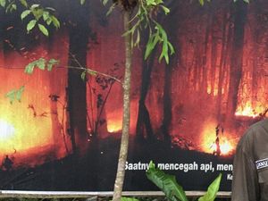 Bertemu Januminro, Pejuang Dayak yang Mengelola Hutan Tahan Api