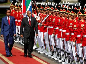 Jokowi Terima Kunjungan Presiden Afrika Selatan