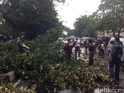Hujan Angin Kencang di Surabaya, Ini Penjelasan BMKG