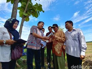 Jamin Pasokan Aman, Kementan Cek Persiapan Panen Cabai dan Bawang