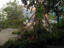 Waspada! Banjir Karena Siklon Cempaka Bisa Cemari Sumber Air Bersih