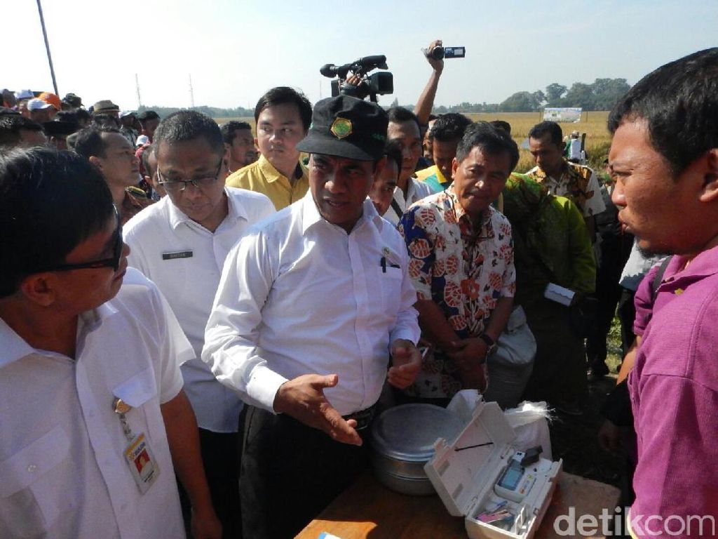Mentan Minta Asuransi Petani di Bojonegoro 1 Minggu Cair Mentan Minta Asuransi Petani di Bojonegoro 1 Minggu Cair
