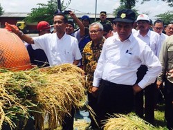 Mentan Jamin Bulog Mampu Serap Gabah Petani Jatim Rp 3.700/Kg