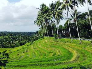 Menpar Tawarkan Tabanan untuk Destinasi Liburan Raja Salman