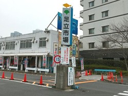 Adachi Market, Pasar Ikan di Tokyo yang Bisa Jadi Alternatif Tsukiji