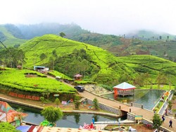 Agrowisata Kaligua di Jawa Tengah, Cantik Namun Tersembunyi