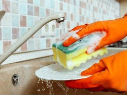 Kapan Waktu Ideal Mengganti Spons di Dapur?