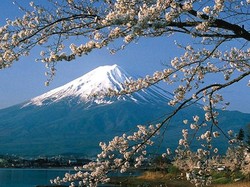 Ke Jepang di Musim Semi, Ini 7 Destinasi Terbaik untuk Melihat Sakura