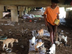 Kisah Ahmad, Pemulung Penyelamat Puluhan Kucing di Kampung Melayu