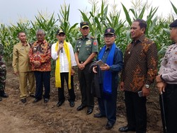 Catatan Dua Tahun Kiprah Mayjen Doni Monardo di Maluku