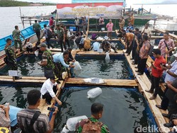 Gubernur Maluku Jadikan Emas Hijau dan Emas Biru Program Prioritas