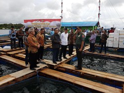 Pangdam Pattimura Perjuangkan Emas Putih untuk Maluku Pangdam Pattimura Perjuangkan Emas Putih untuk Maluku