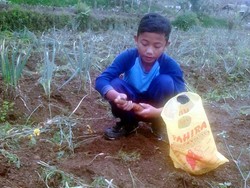 Melihat Keseharian Juhdi Siswa SD yang viral karena Sepatu Menguap