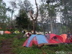 Hidup Jangan Kurang Piknik, Ayo Kemping di Gunung Ungaran!
