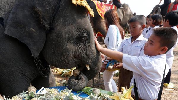 Keseruan Warga Thailand Rayakan Hari Gajah