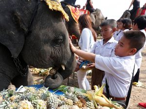 Keseruan Warga Thailand Rayakan Hari Gajah
