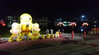 Kisah Bebek-bebek Lucu di Taman Terpopuler Udon Thani, Thailand