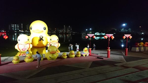 Kisah Bebek-bebek Lucu di Taman Terpopuler Udon Thani, Thailand