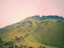 Kala Mentari Menyapa Merbabu