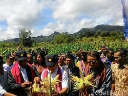 Ke Perbatasan NTT, Mentan Panen Jagung dan Kacang Tanah