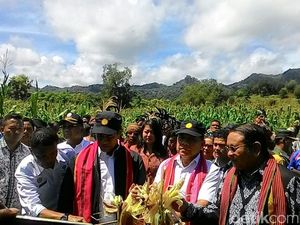 Perjalanan Amran Pantau Pertanian di Perbatasan NTT