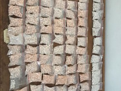 Polisi Tangkap Bandar Narkoba di Medan, Sita Ribuan Butir Ekstasi