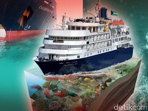 Begini Terumbu Karang Raja Ampat Sebelum dan Sesudah Ditabrak Kapal