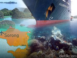 Caledonian Sky Terlalu ke Pinggir hingga Terjang Karang Raja Ampat