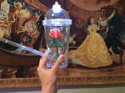 Wah, Tumbler Enchanted Rose dari Beauty and The Beast Ini Laris Diburu!