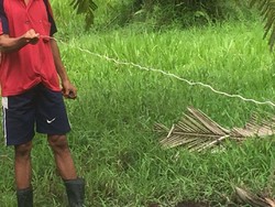 Satu Keluarga di Riau Tewas Tersetrum Jerat Babi yang Dipasang