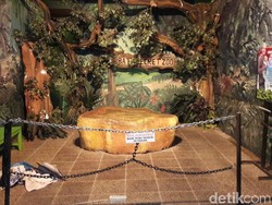 Ini Lokasi Saat Putri Diterkam Anak Harimau di Jatim Park II